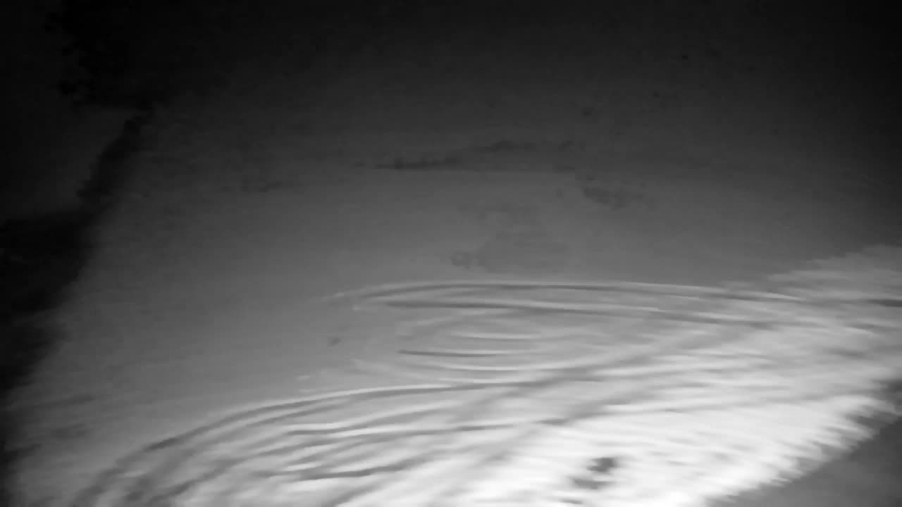 Webcam Ribnik Vrbje – Žalec