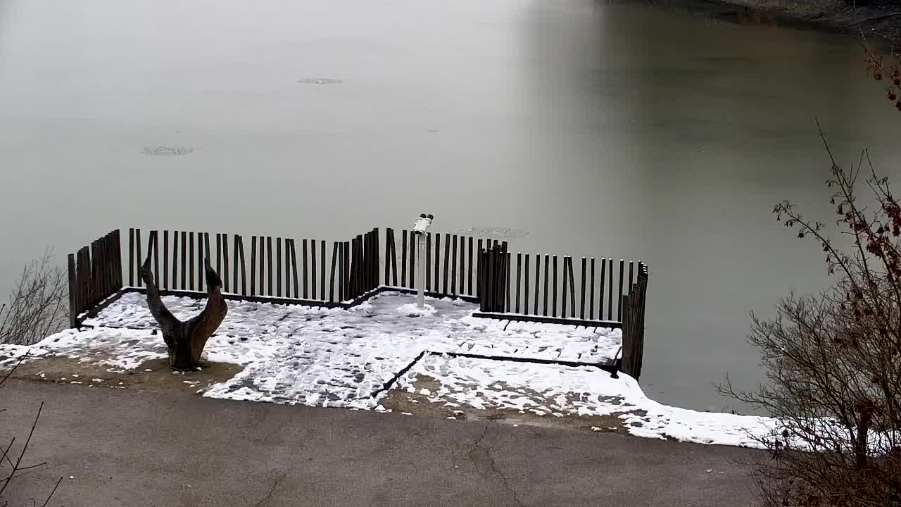 Webcam Ribnik Vrbje – Žalec