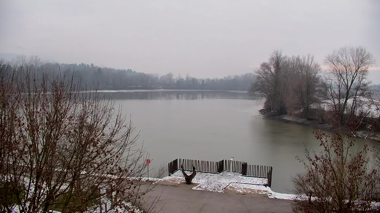 Webcam Ribnik Vrbje – Žalec