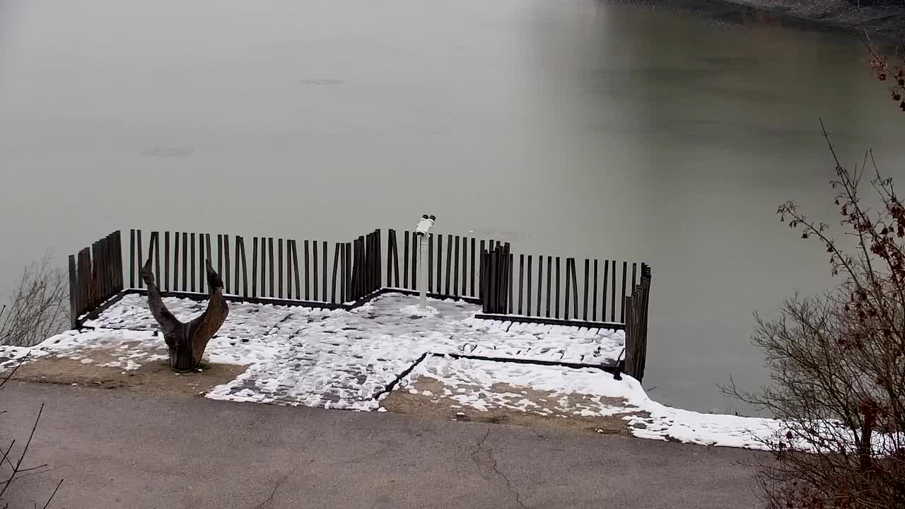 Webcam Ribnik Vrbje – Žalec