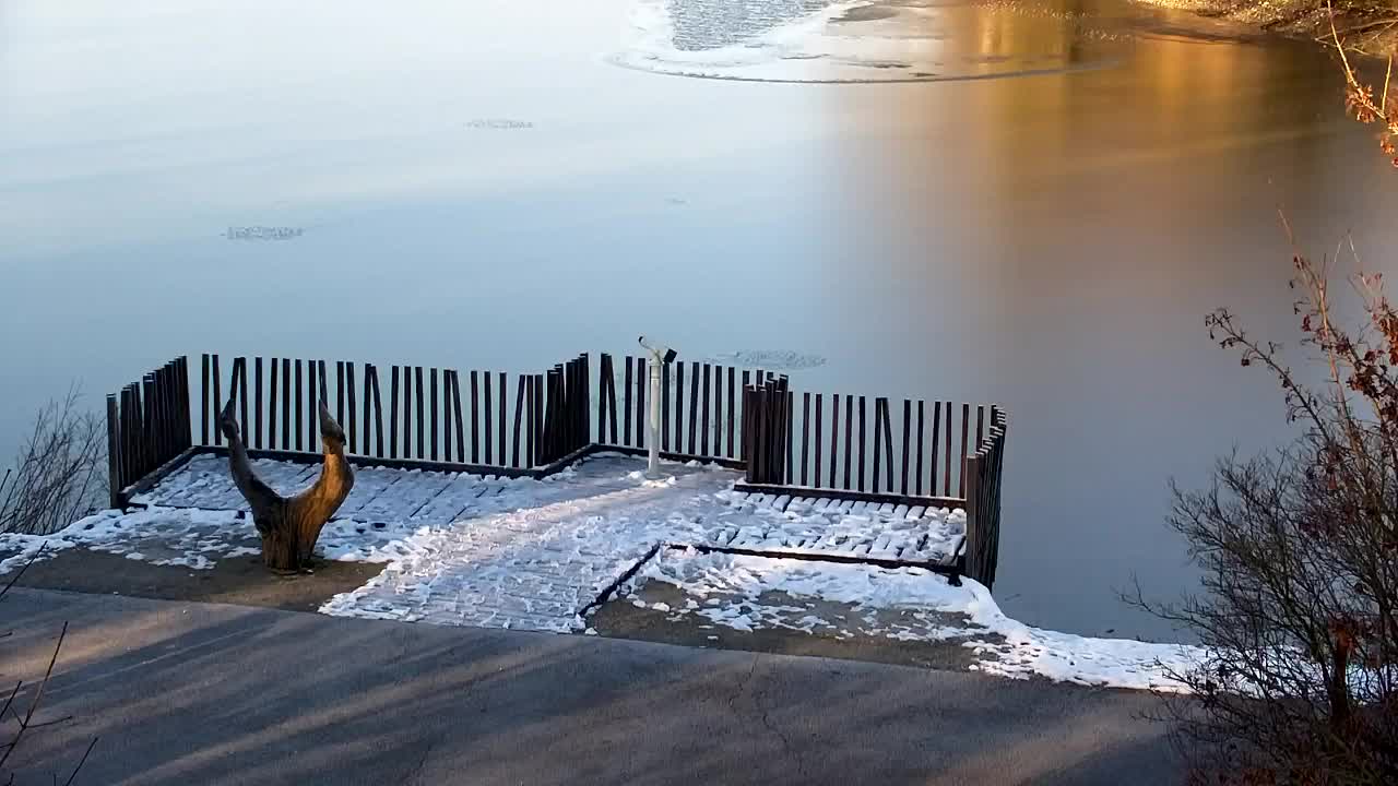 Webcam Ribnik Vrbje – Žalec