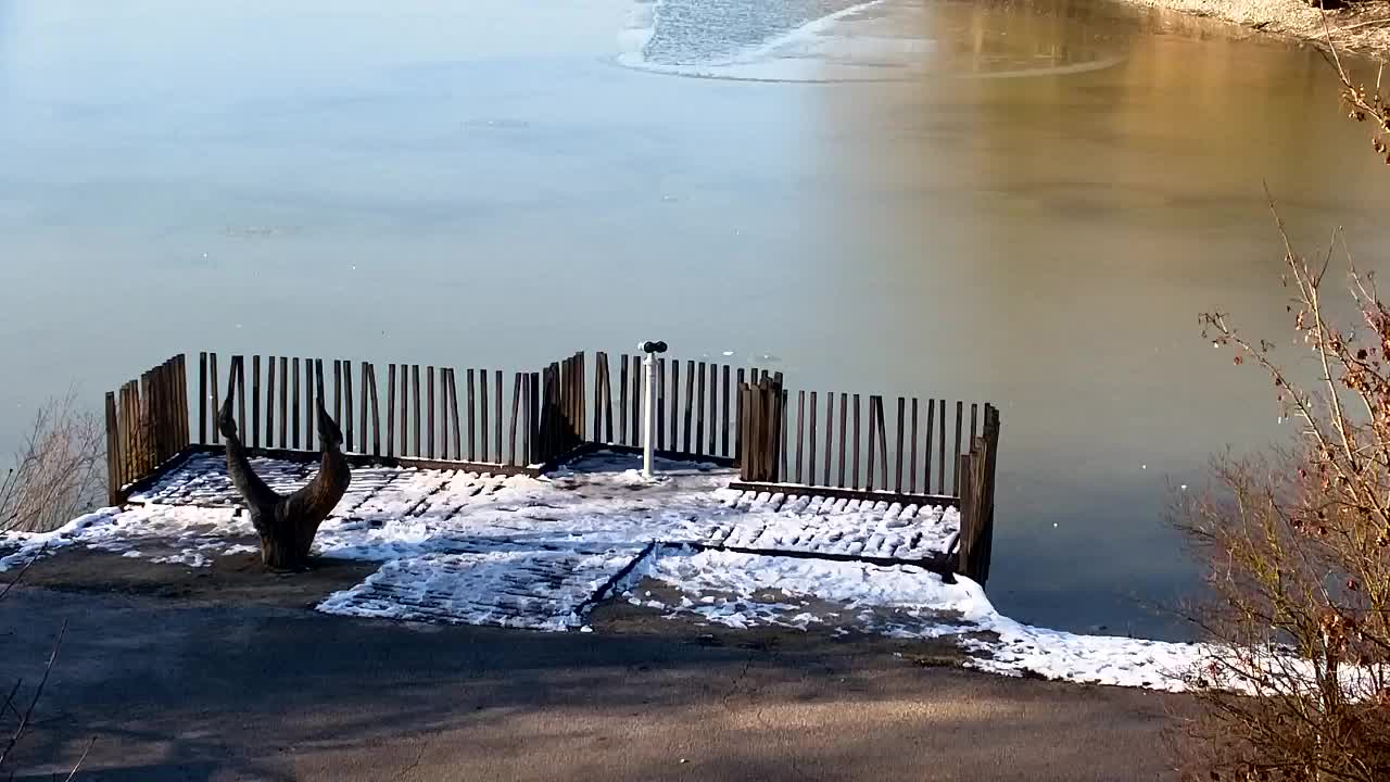 Webcam Ribnik Vrbje – Žalec