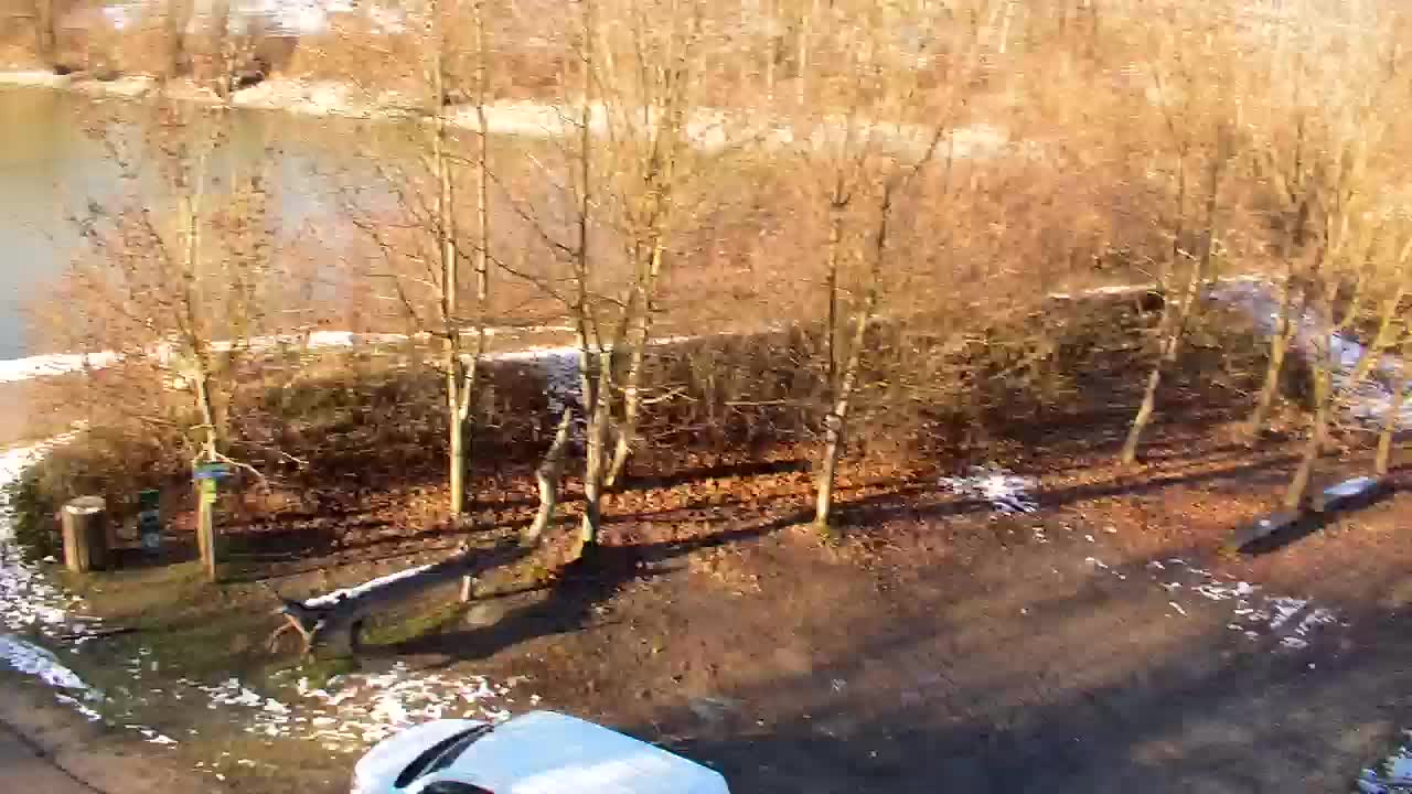 Webcam Ribnik Vrbje – Žalec