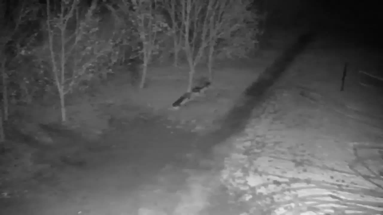 Webcam Ribnik Vrbje – Žalec