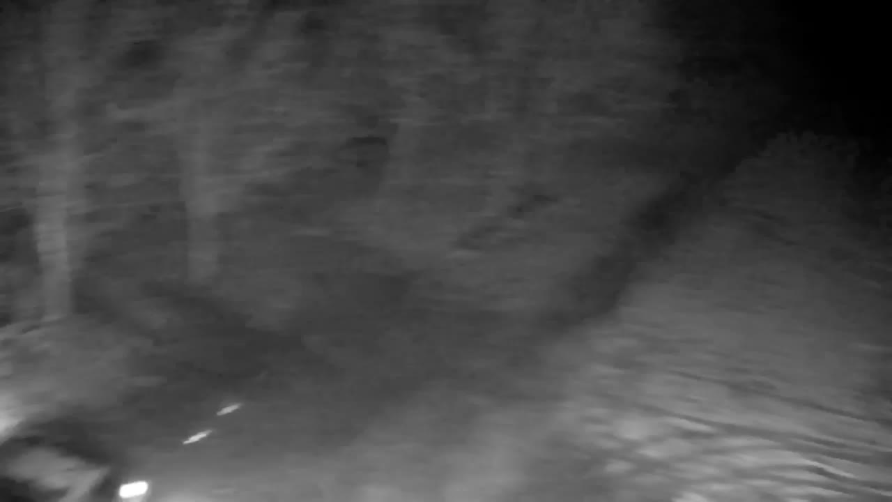 Webcam Ribnik Vrbje – Žalec