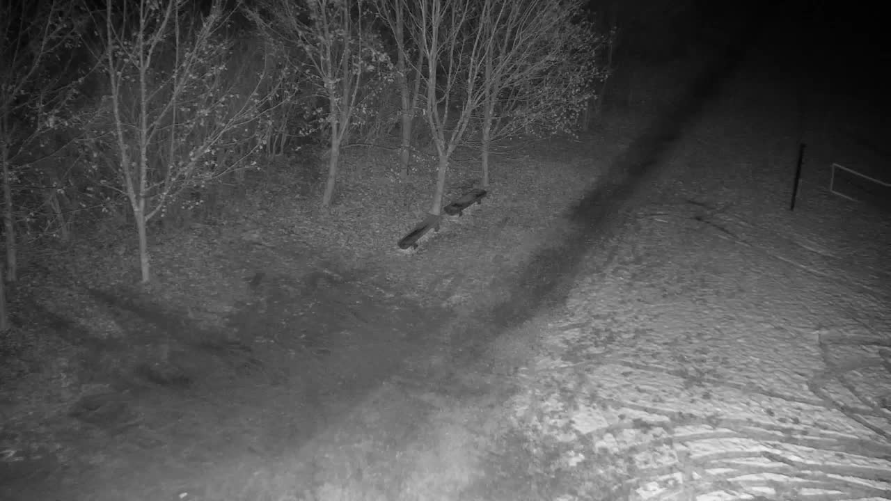 Webcam Ribnik Vrbje – Žalec