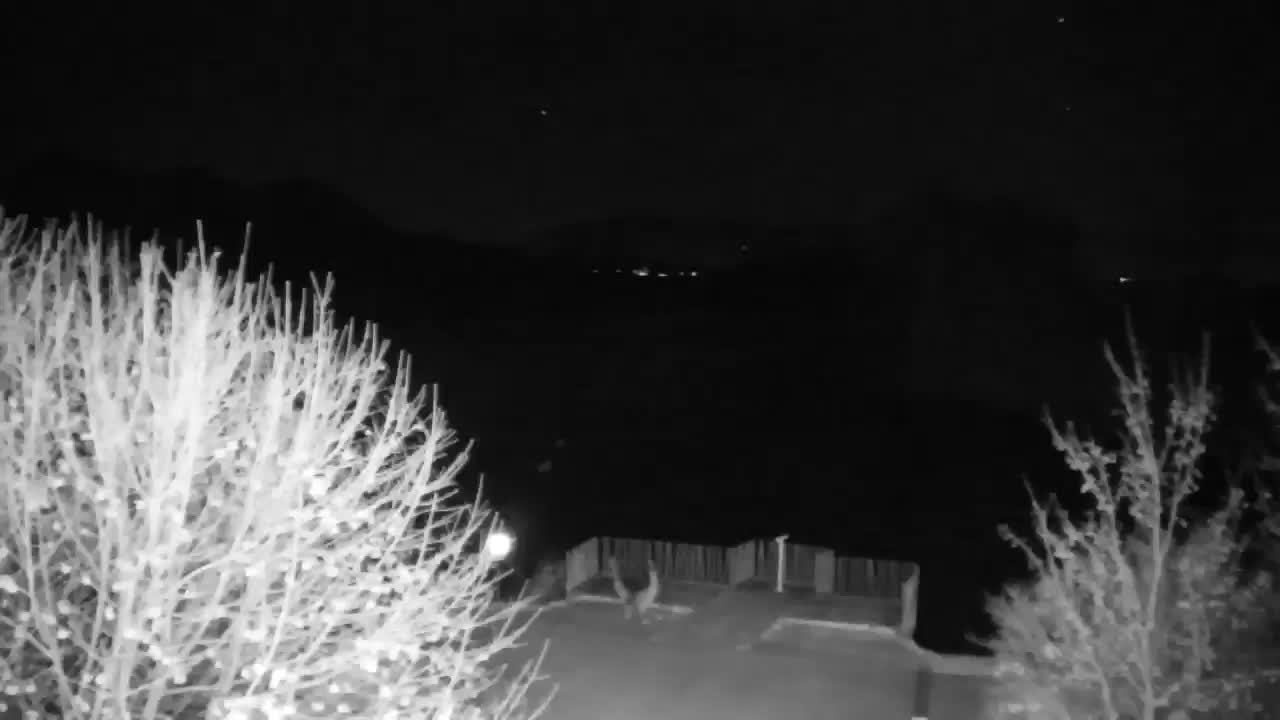 Webcam Ribnik Vrbje – Žalec