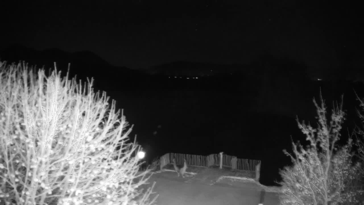 Webcam Ribnik Vrbje – Žalec