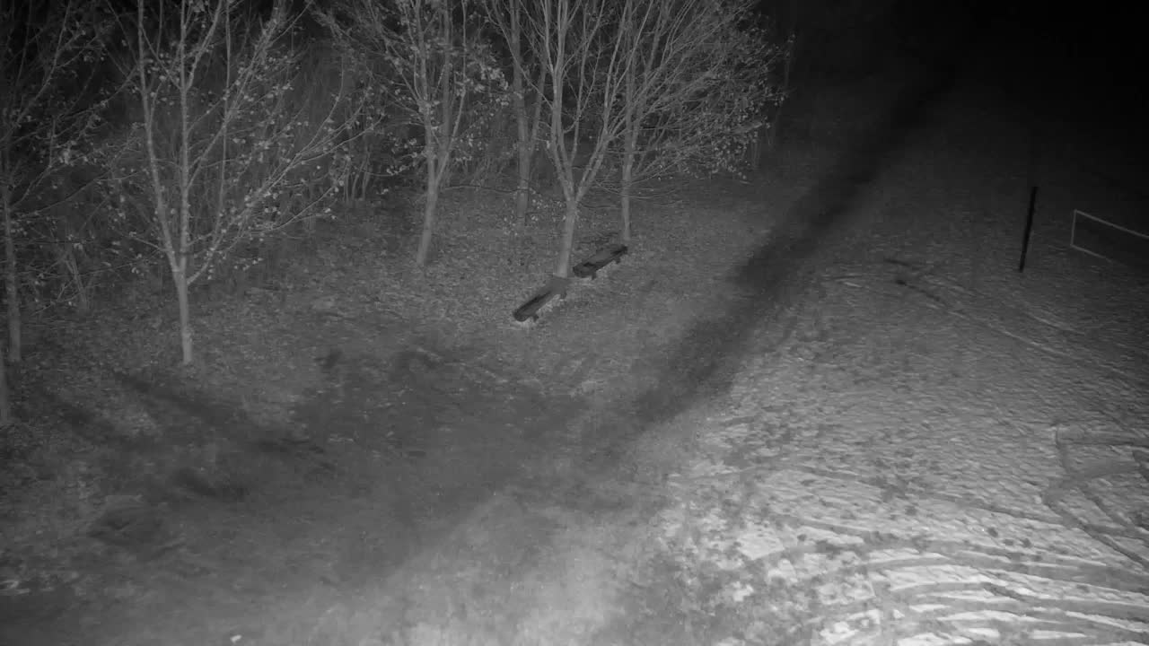 Spletna kamera Ribnik Vrbje – Žalec