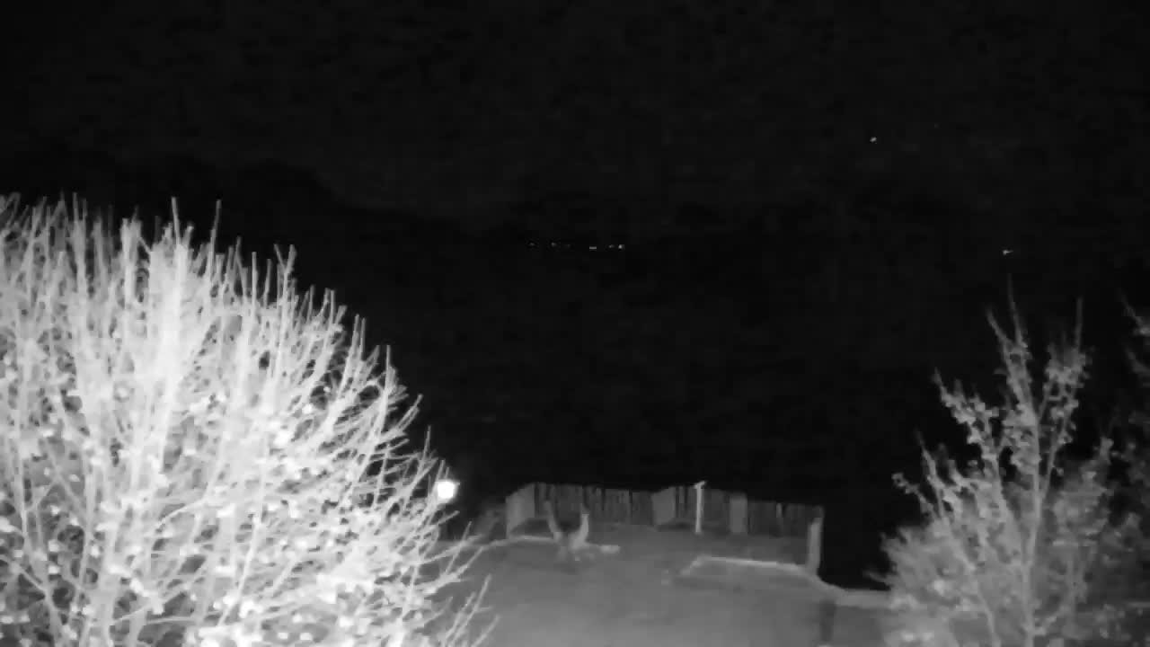 Webcam Ribnik Vrbje – Žalec