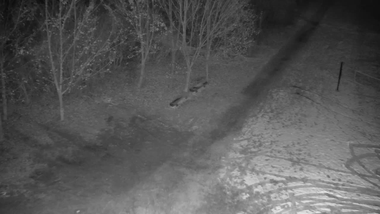 Webcam Ribnik Vrbje – Žalec