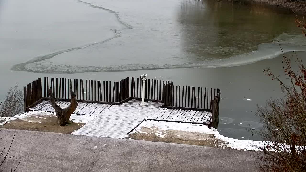 Webcam Ribnik Vrbje – Žalec