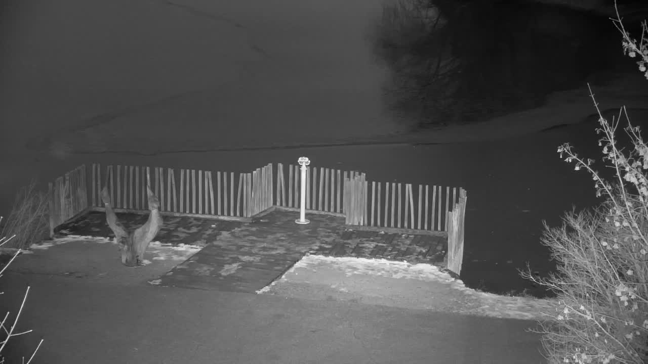 Webcam Ribnik Vrbje – Žalec