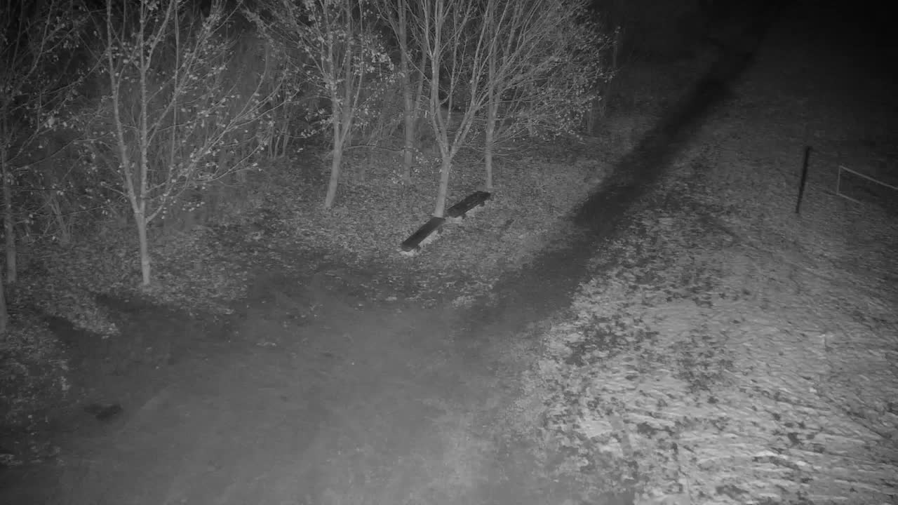 Webcam Ribnik Vrbje – Žalec