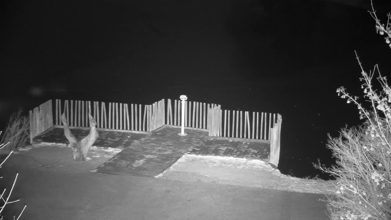 Webcam Ribnik Vrbje – Žalec