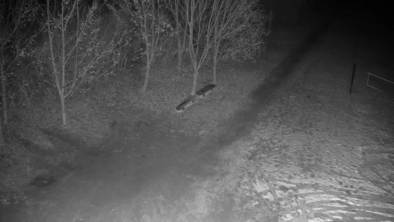 Webcam Ribnik Vrbje – Žalec