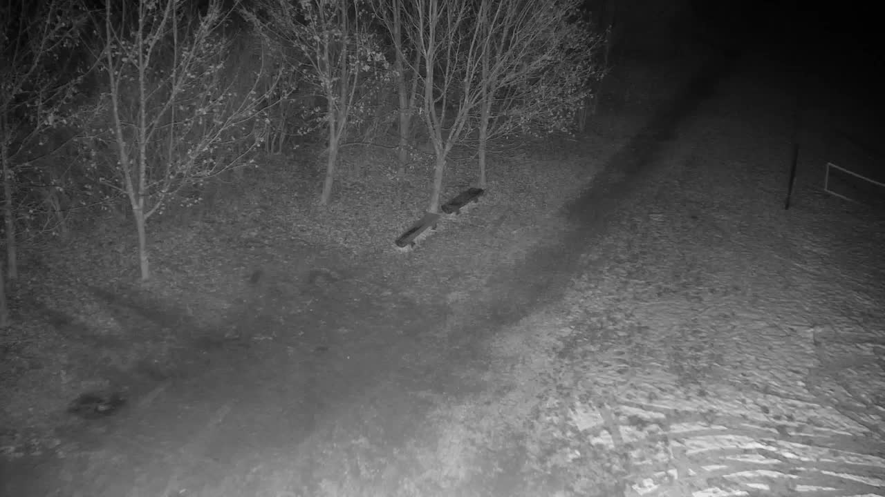 Webcam Ribnik Vrbje – Žalec