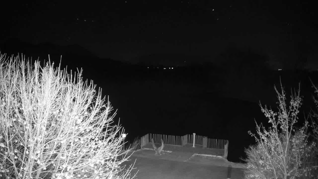 Webcam Ribnik Vrbje – Žalec