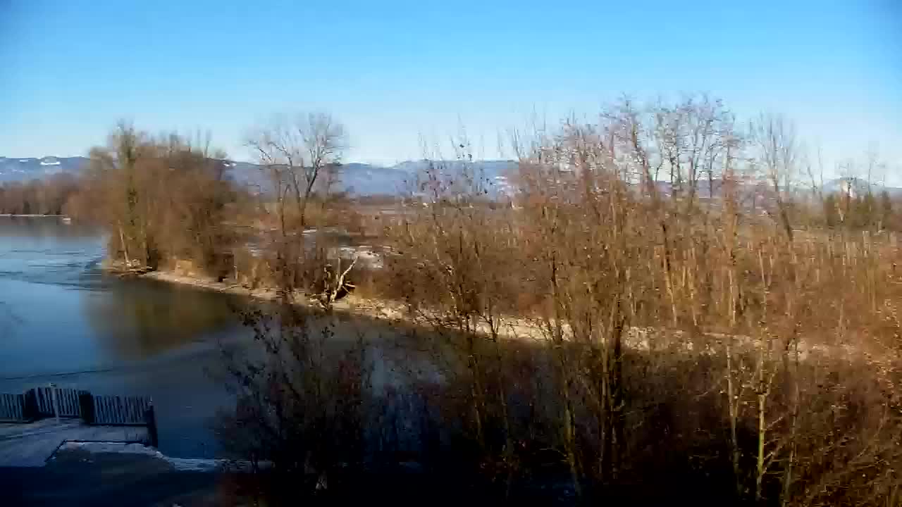 Webcam Ribnik Vrbje – Žalec