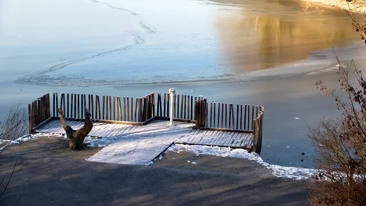 Webcam Ribnik Vrbje – Žalec