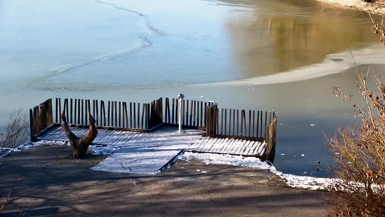Webcam Ribnik Vrbje – Žalec