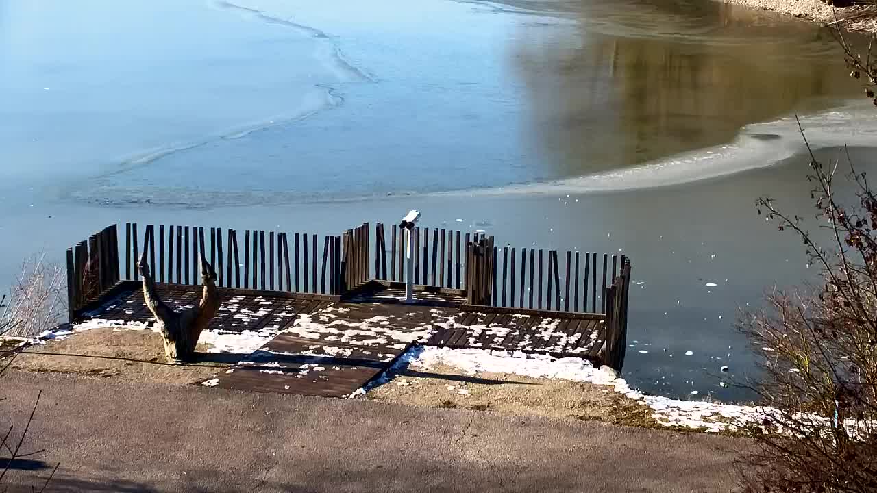 Webcam Ribnik Vrbje – Žalec