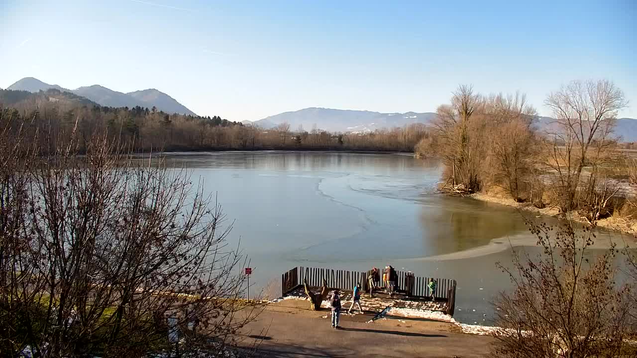 Webcam Ribnik Vrbje – Žalec