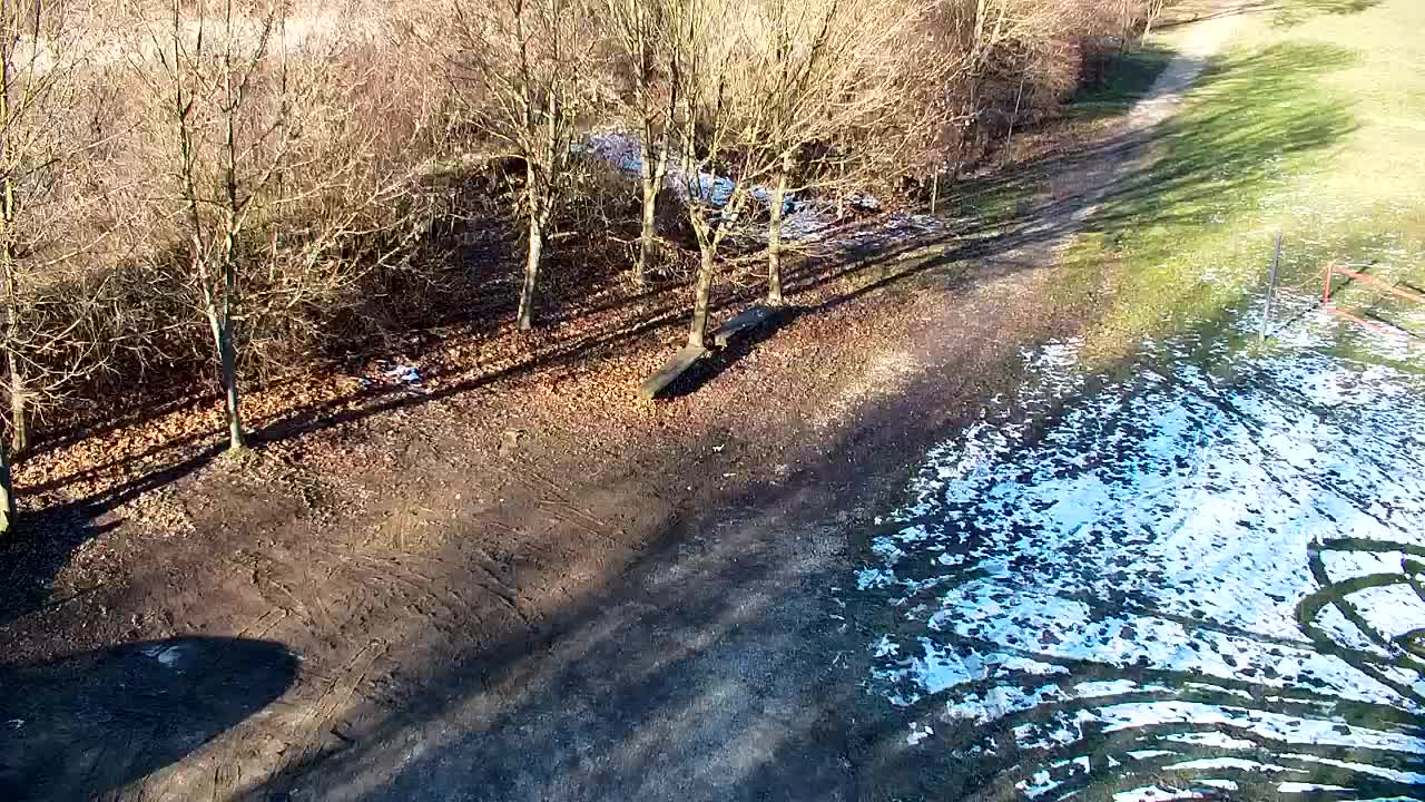 Webcam Ribnik Vrbje – Žalec