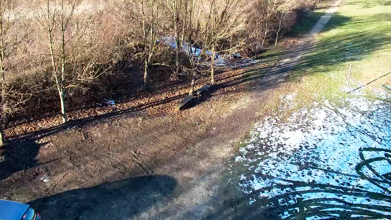 Webcam Ribnik Vrbje – Žalec