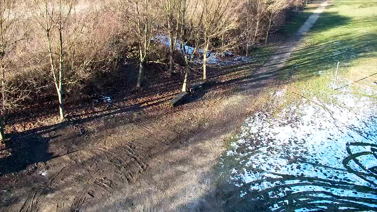 Webcam Ribnik Vrbje – Žalec