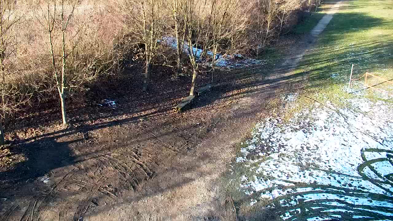 Webcam Ribnik Vrbje – Žalec