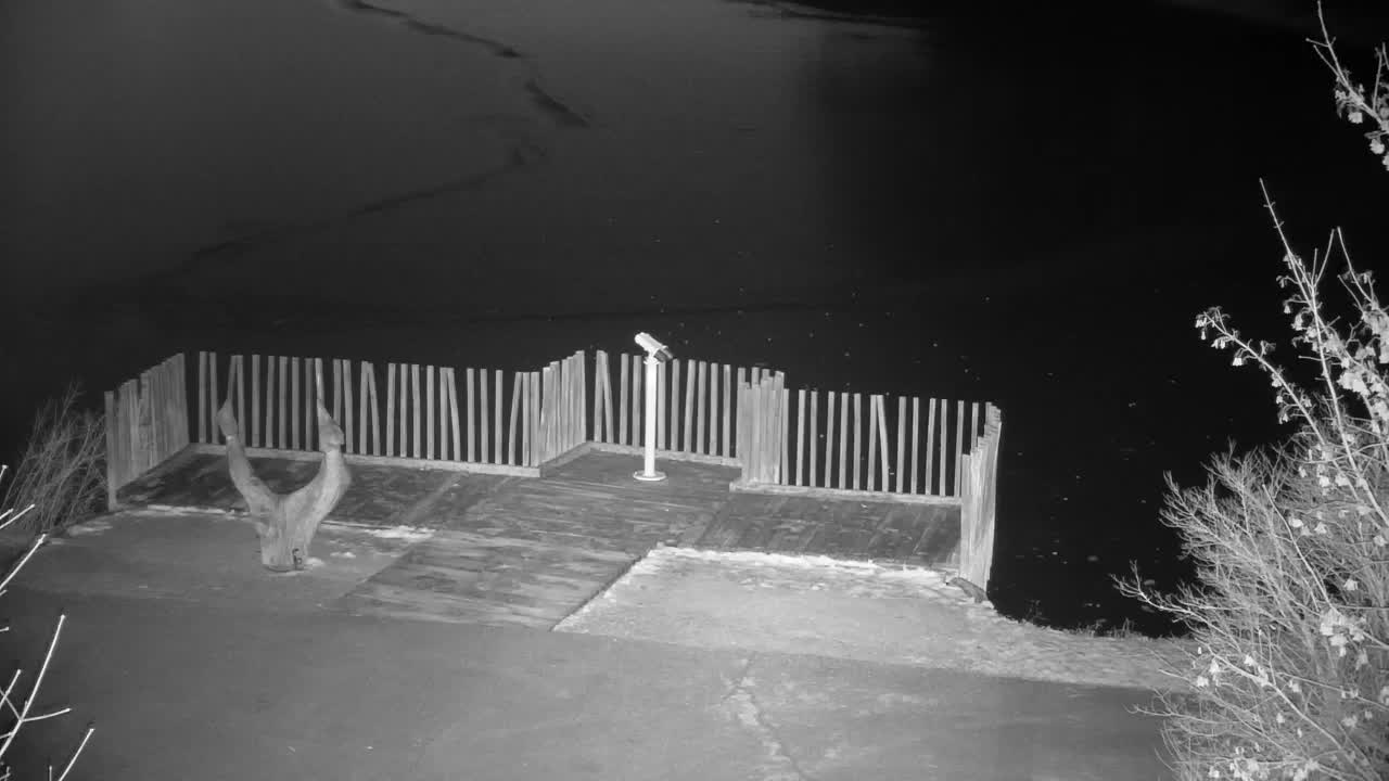 Webcam Ribnik Vrbje – Žalec