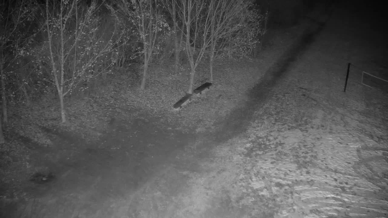 Webcam Ribnik Vrbje – Žalec