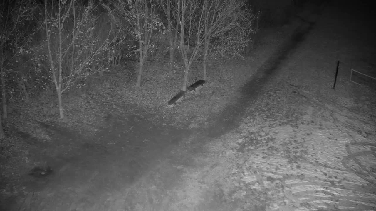 Webcam Ribnik Vrbje – Žalec