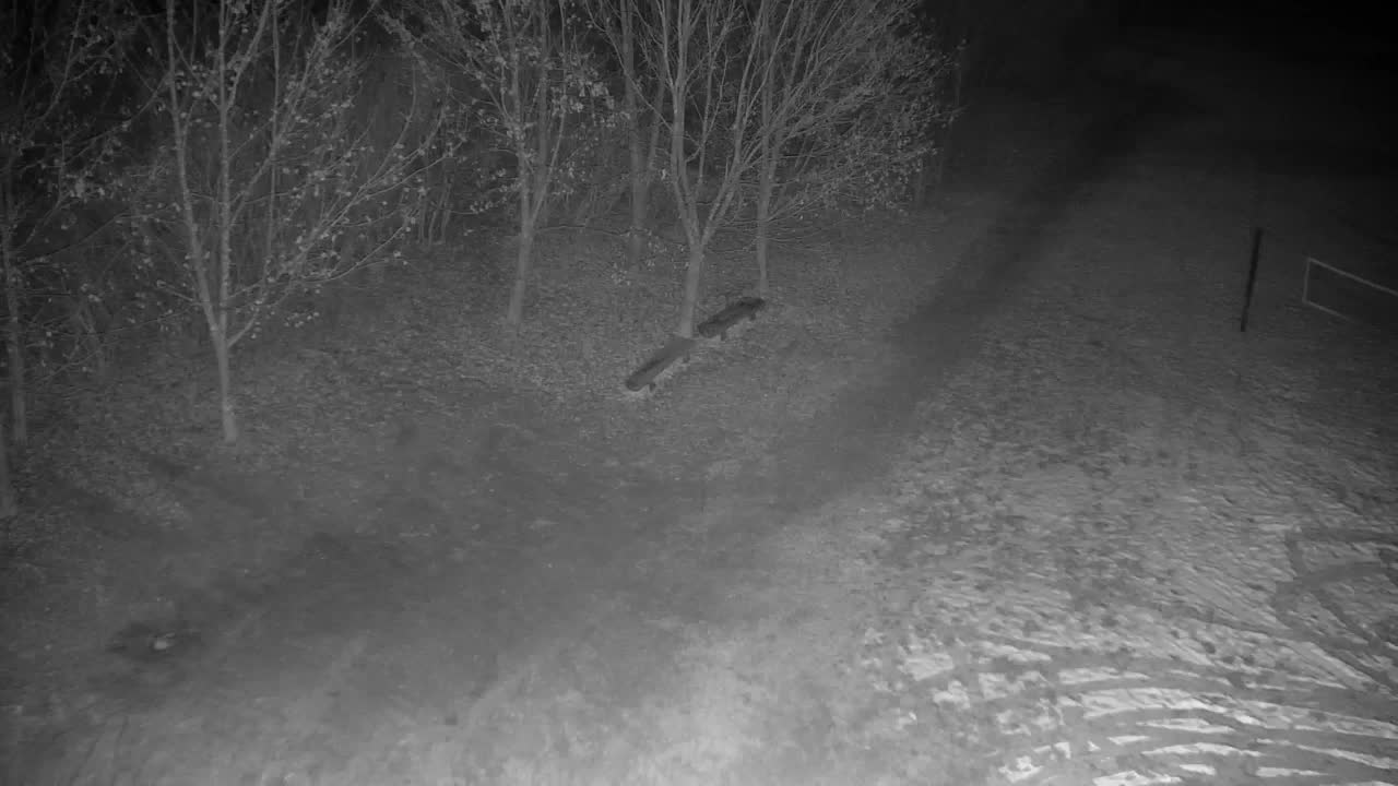 Webcam Ribnik Vrbje – Žalec