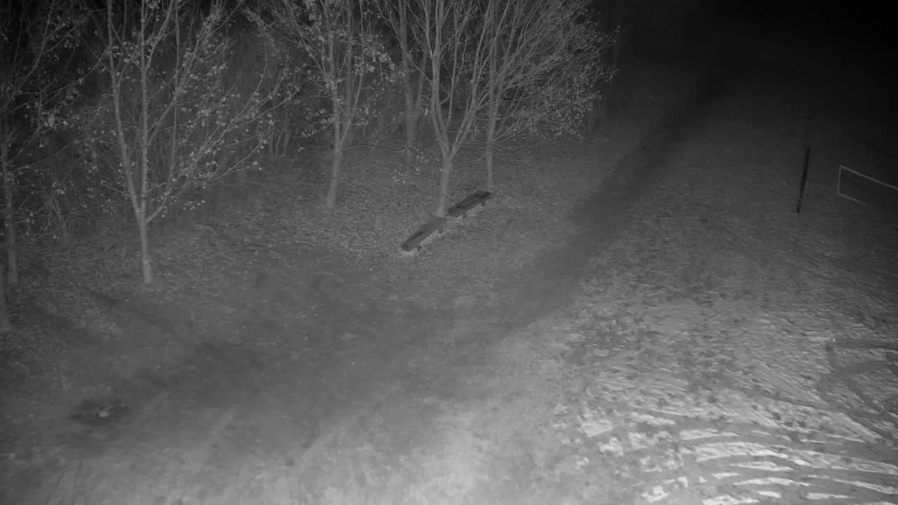 Webcam Ribnik Vrbje – Žalec