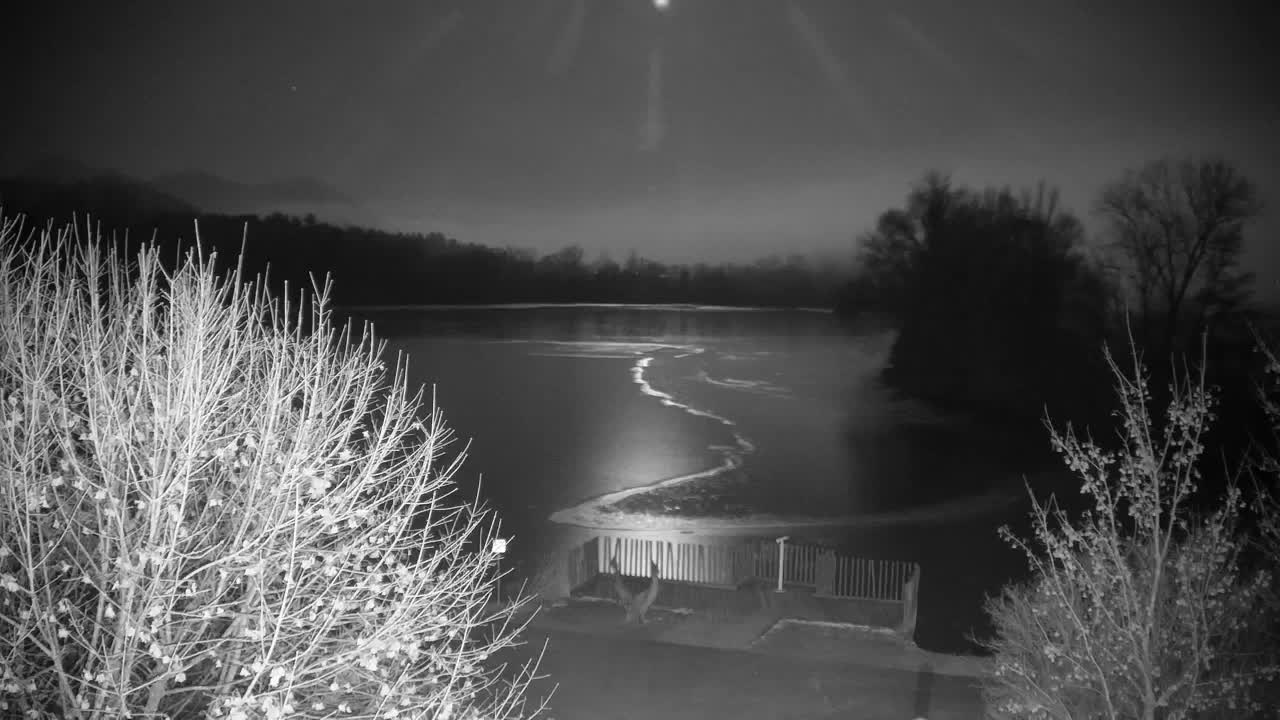 Webcam Ribnik Vrbje – Žalec