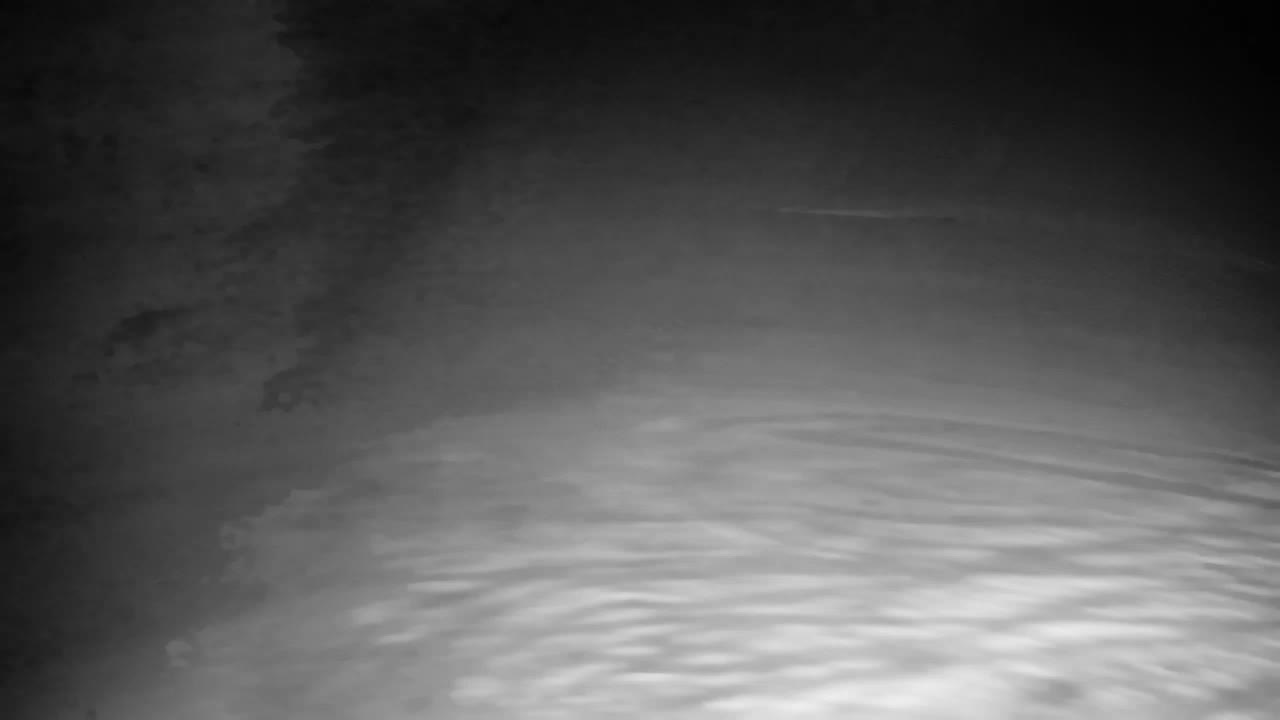 Webcam Ribnik Vrbje – Žalec