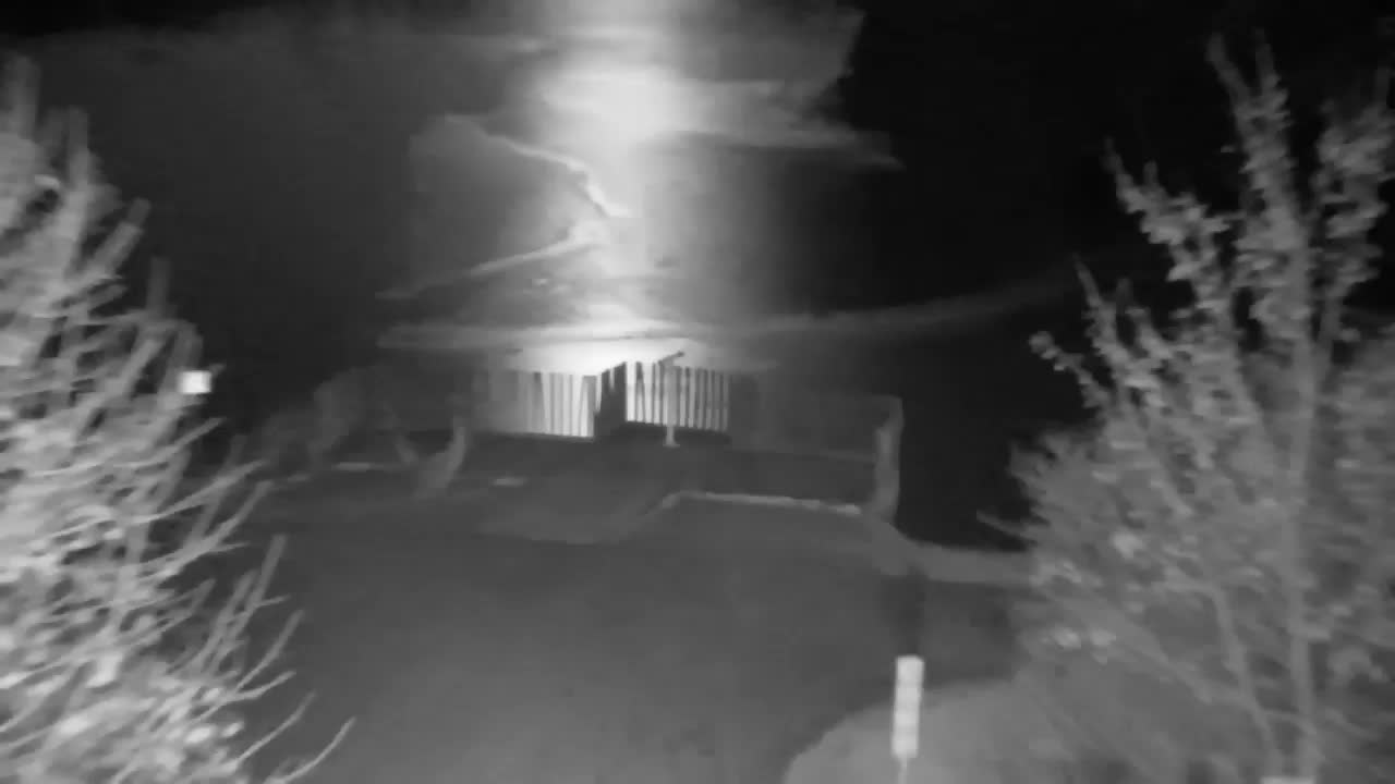 Spletna kamera Ribnik Vrbje – Žalec