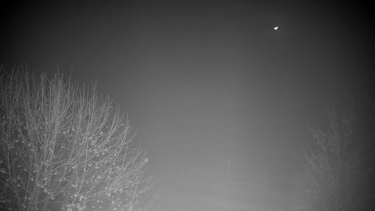 Spletna kamera Ribnik Vrbje – Žalec