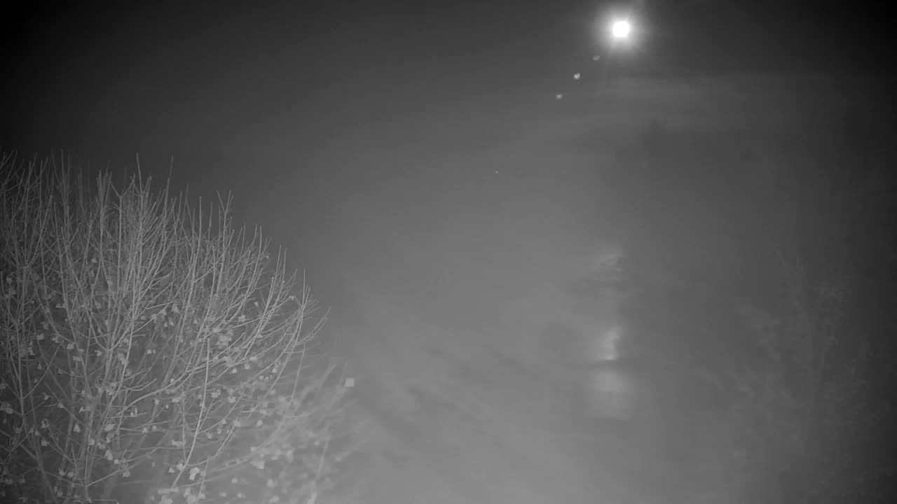 Webcam Ribnik Vrbje – Žalec