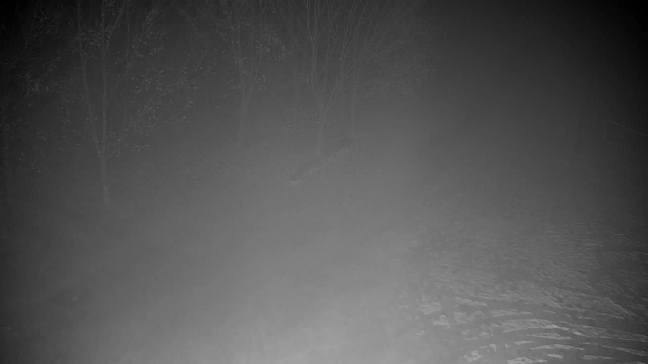 Webcam Ribnik Vrbje – Žalec