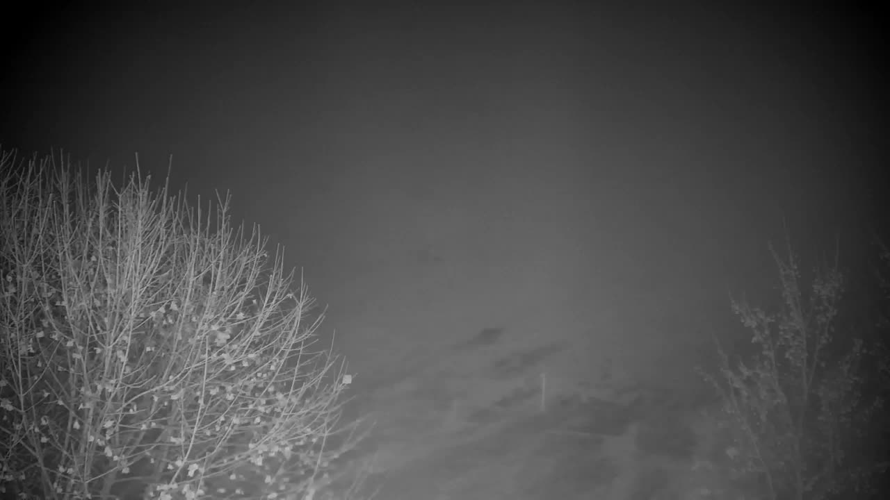 Web kamera Ribnik Vrbje – Žalec