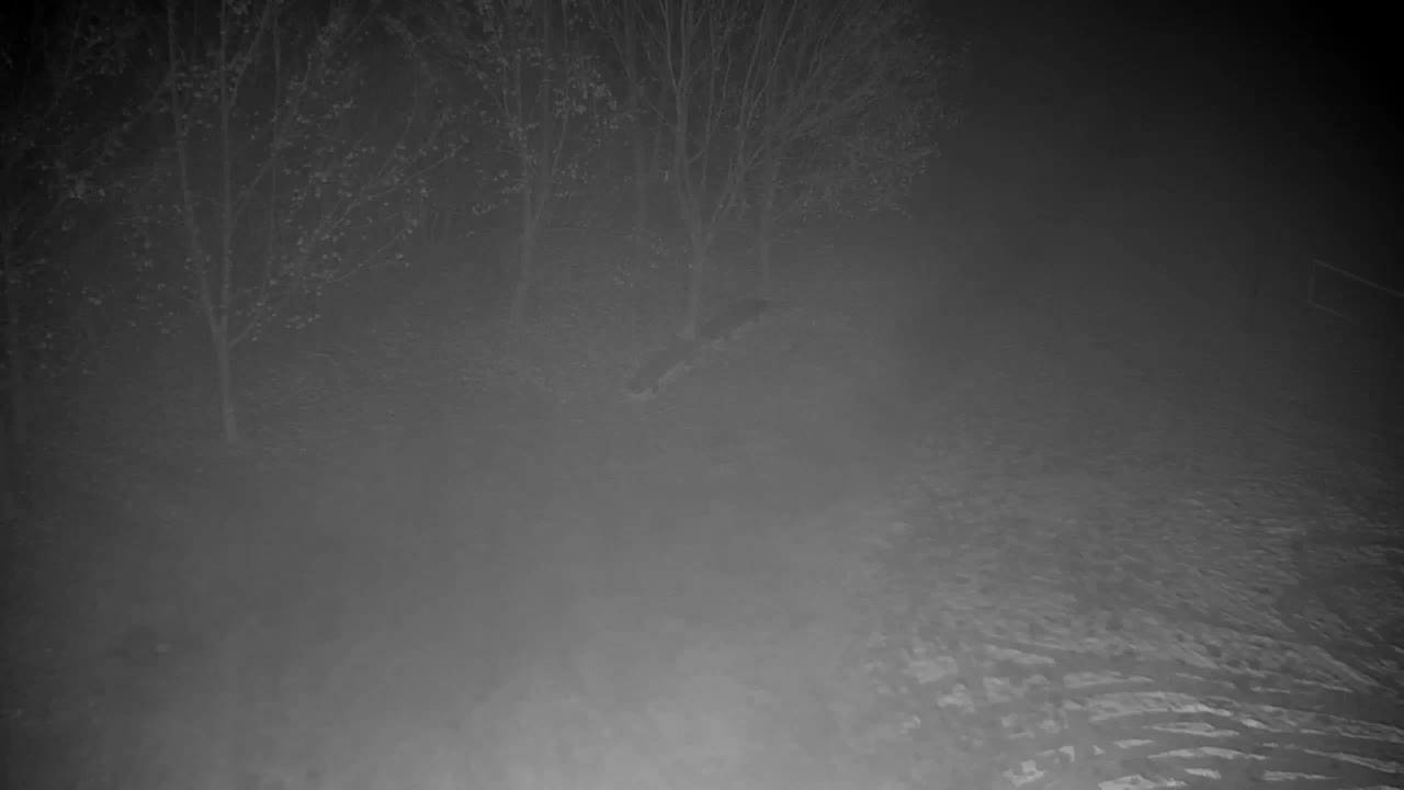 Web kamera Ribnik Vrbje – Žalec