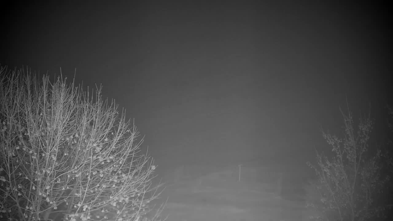 Webcam Ribnik Vrbje – Žalec