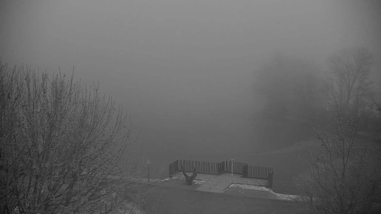 Webcam Ribnik Vrbje – Žalec