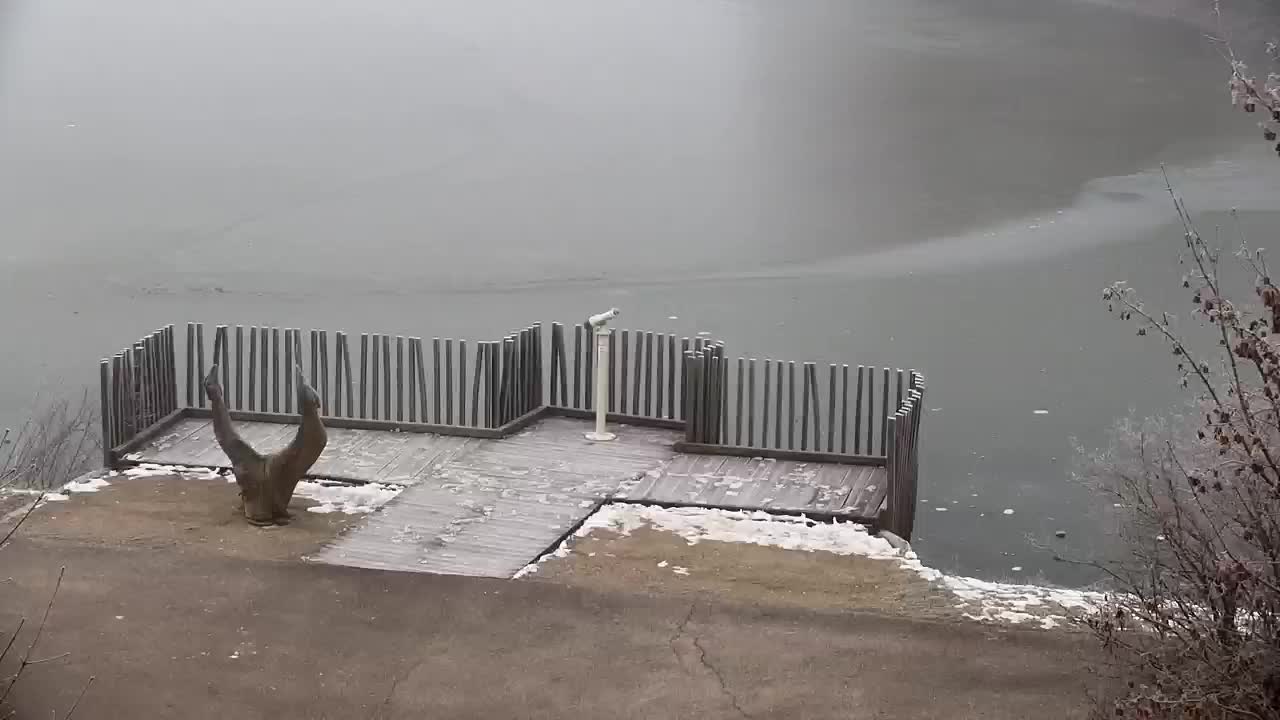 Webcam Ribnik Vrbje – Žalec