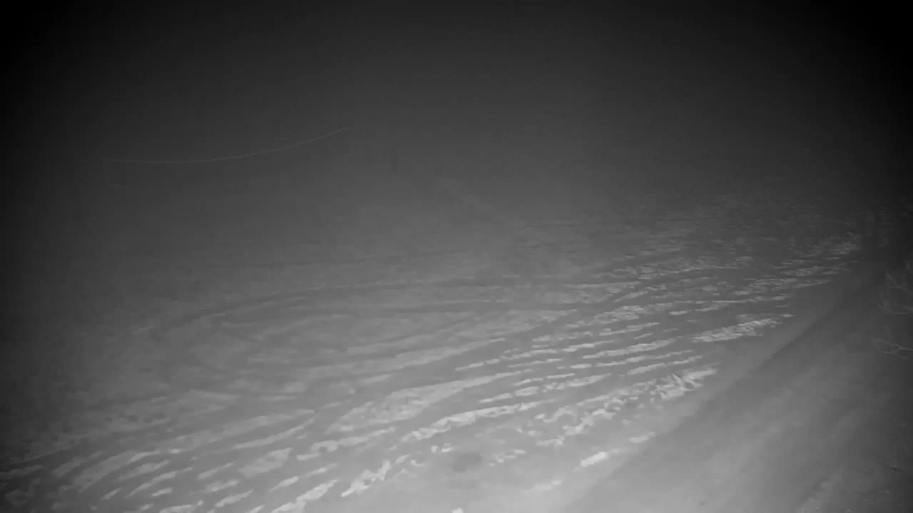 Webcam Ribnik Vrbje – Žalec