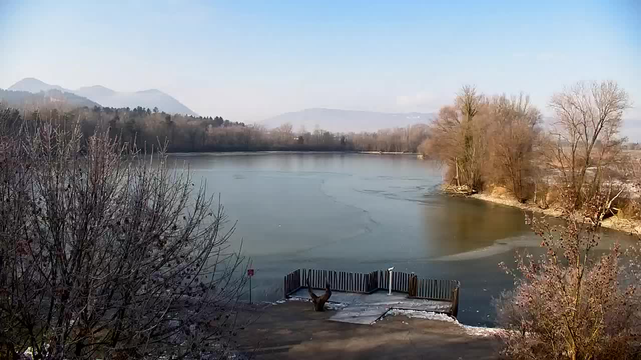 Webcam Ribnik Vrbje – Žalec