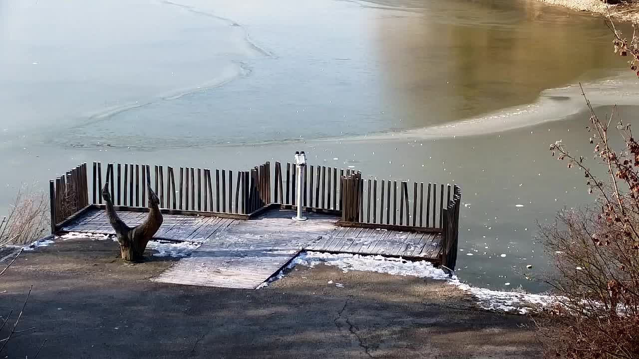 Webcam Ribnik Vrbje – Žalec